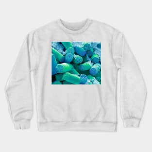 Soil diatoms, SEM, (C054/5526) Crewneck Sweatshirt